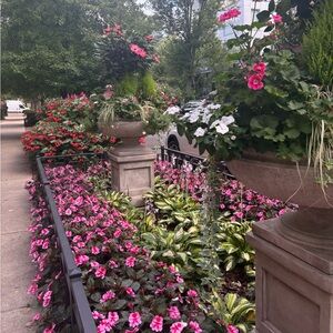 Meet your Posher, Meg